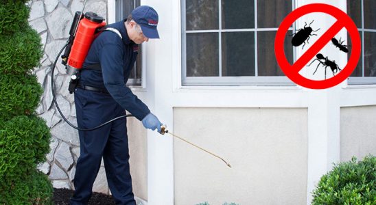 Evka 3 Gümüşkurt İlaçlama böcek ilaçlama ve haşere kontrolü — ilaclama-tr.com